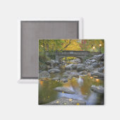 Aimant USA, Oregon, Ashland, Lithia Park. Automne (Recto/Verso)