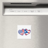 AIMANT USA-PUERTO-RICO (In Situ (Lave-vaisselle))