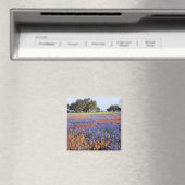 Aimant USA, Texas, Llano. Bluebonnets et redbonnets (In Situ (Lave-vaisselle))