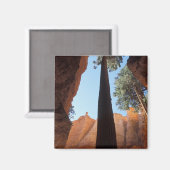 Aimant USA, Utah, Bryce Canyon National Park. Grand (Recto/Verso)