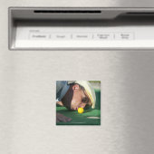 Aimant USA, Utah, Orem, Homme soufflant de l'air pour pou (In Situ (Lave-vaisselle))