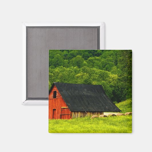 Aimant USA, Virginie, Shenandoah National Park, 2 (Recto/Verso)