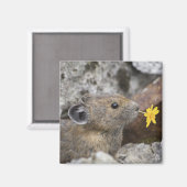 Aimant USA, Washington, North Cascades National Park, (Recto/Verso)