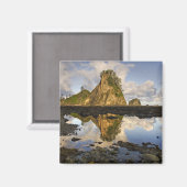 Aimant USA, Washington, Parc National Olympique. A (Recto/Verso)