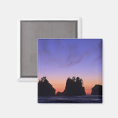 Aimant USA, Washington, Parc National Olympique, Shi-shi (Recto/Verso)