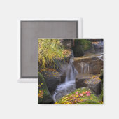 Aimant USA, Washington, Seattle (Recto/Verso)