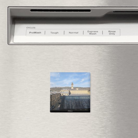 Aimant Usine de sel (In Situ (Lave-vaisselle))