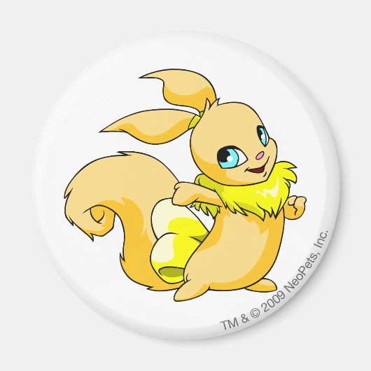 Aimant Usul jaune (Devant)