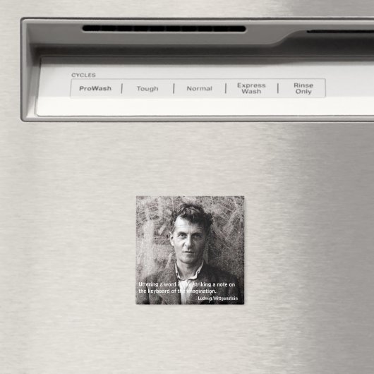 Aimant Utiliser un mot est comme frapper ... (In Situ (Lave-vaisselle))