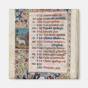 Aimant V.25-3 Fol.12v le mois de décembre