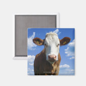 Aimant Vache bavaroise contre ciel bleu (Recto/Verso)