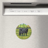 Aimant Vache d'Angus noir et veau mou en pâturage d'été (In Situ (Lave-vaisselle))
