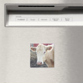 AIMANT VACHE DE CAROLE (In Situ (Lave-vaisselle))