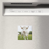 Aimant Vache debout dans un champ herbeux (In Situ (Lave-vaisselle))