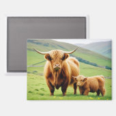 Aimant Vache des Highlands Animal Nature Faune Affection (Recto/Verso)
