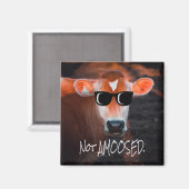 Aimant Vache en lunettes de soleil Pas aMOOsed mignon drô (Recto/Verso)