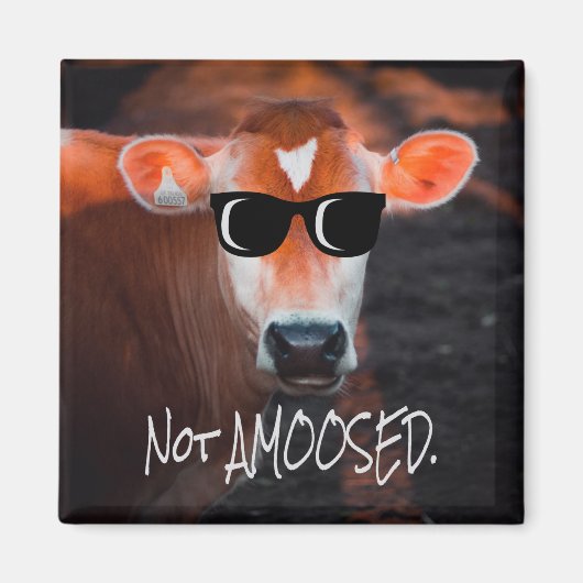 Aimant Vache en lunettes de soleil Pas aMOOsed mignon drô (Devant)