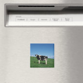 Aimant Vache Holstein debout dans le champ, Bekkai-Machi, (In Situ (Lave-vaisselle))