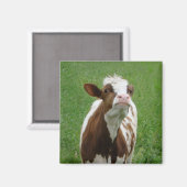 Aimant Vache laitière sur la ferme (Recto/Verso)