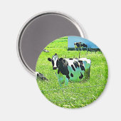 Aimant Vache mignonne sur l'aimant agricole (Recto/Verso)