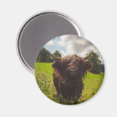 Aimant Vache noire pâturage vert champ soleil (Recto/Verso)