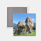 Aimant Vaches (Recto/Verso)