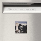 Aimant Vaches 3 (In Situ (Lave-vaisselle))