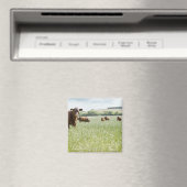 Aimant Vaches debout dans la prairie (In Situ (Lave-vaisselle))