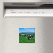 Aimant Vaches Holstein-Friesian près de Borris, Comté (In Situ (Lave-vaisselle))
