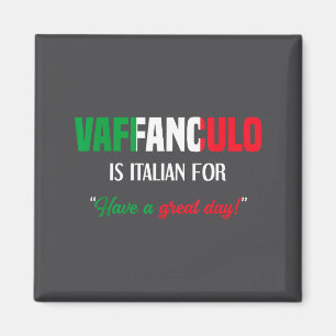 Aimant Vaffanculo Day disant avoir italien