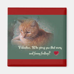 Aimant Valentine du chat