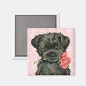 Aimant Valentine Rose Affenpinscher (Recto/Verso)