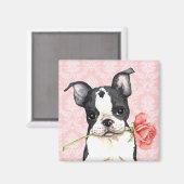 Aimant Valentine Rose Boston Terrier (Recto/Verso)