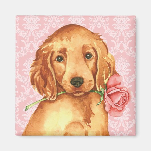 Aimant Valentine Rose Irish Setter (Devant)