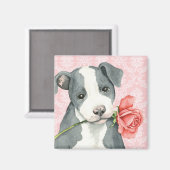 Aimant Valentine Rose Pit Bull (Recto/Verso)
