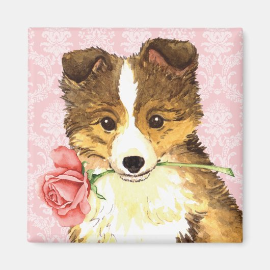 Aimant Valentine Rose Sheltie (Devant)