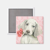 Aimant Valentine Rose Weimaraner (Recto/Verso)