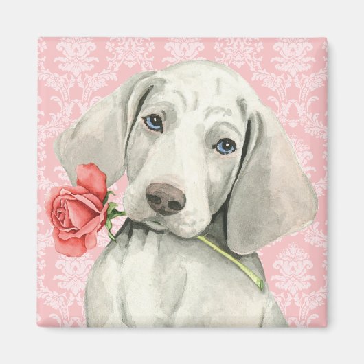 Aimant Valentine Rose Weimaraner (Devant)