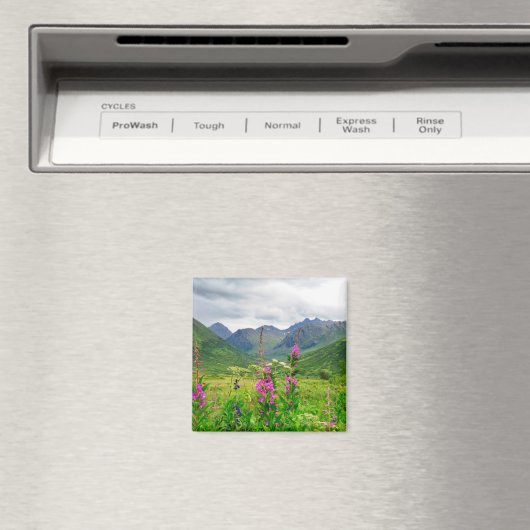 Aimant Vallée fleur sauvage de l'Alaska (In Situ (Lave-vaisselle))