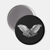 Aimant Vampire ? Bat ? (Recto/Verso)