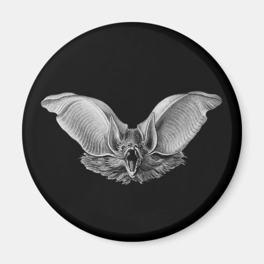 Aimant Vampire ? Bat ? (Devant)
