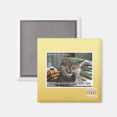 Aimant vampire chat sourit (Recto/Verso)