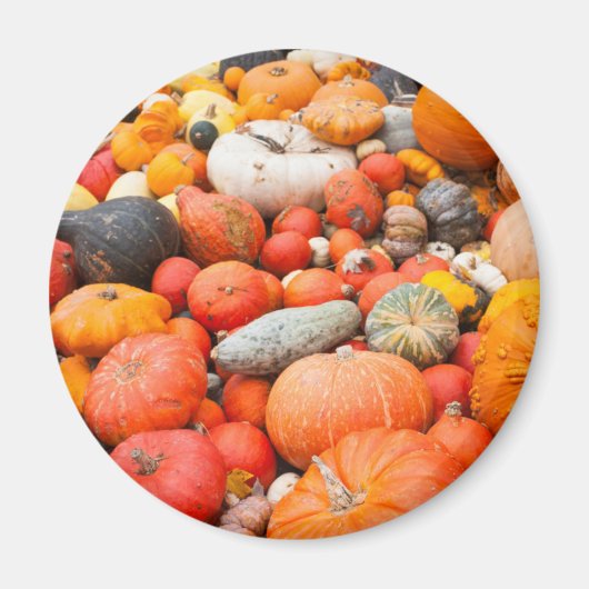 Aimant Variété de courge à vendre, Allemagne (Devant)