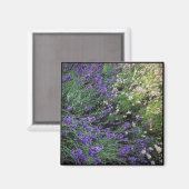Aimant Variété de Lavande (Recto/Verso)
