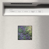 Aimant Variété de Lavande (In Situ (Lave-vaisselle))