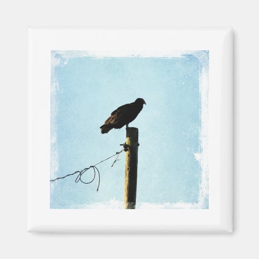 Aimant Vautour (Devant)