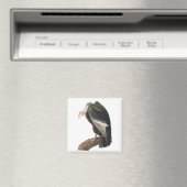 Aimant Vautour de Californie (Condor), Audubon Fine Art (In Situ (Lave-vaisselle))