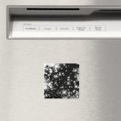 Aimant Vchira_1276 (In Situ (Lave-vaisselle))
