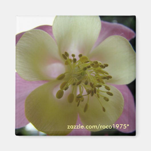 Aimant veduta (Devant)