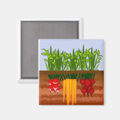 Aimant Veggie Garden (Recto/Verso)